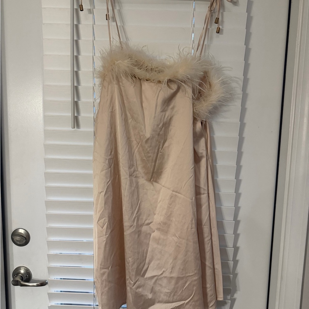 Nasty Gal Champagne Feather-Trim Slip Dress